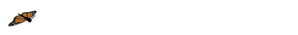 亚军球队的训练方案如何帮助你快速提升篮球技能_0